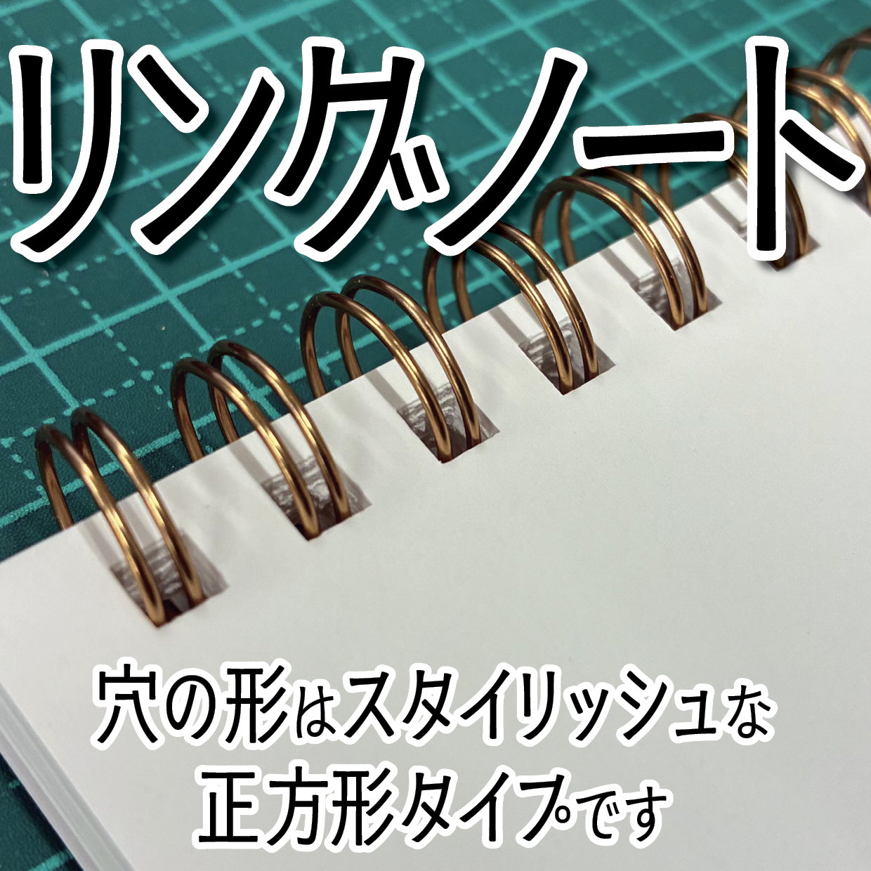 リングノート作成
